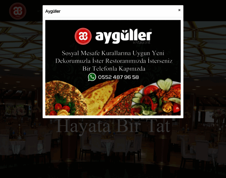 Ayguller.com.tr thumbnail