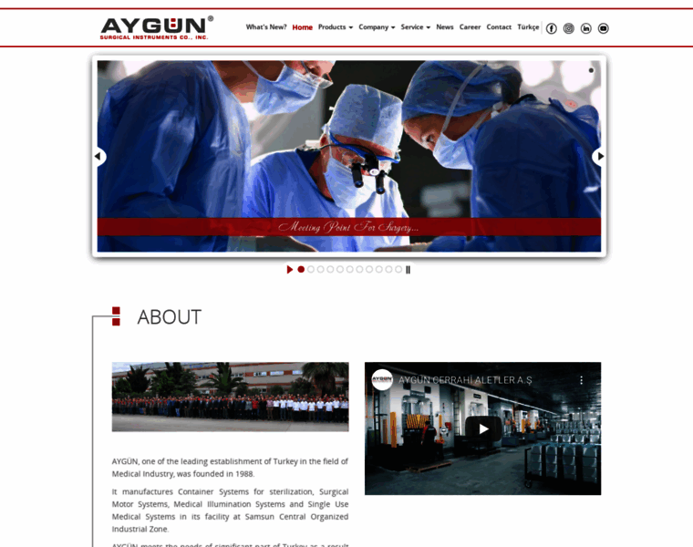 Aygun.com thumbnail