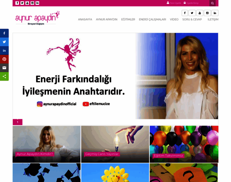 Aynurapaydin.com thumbnail