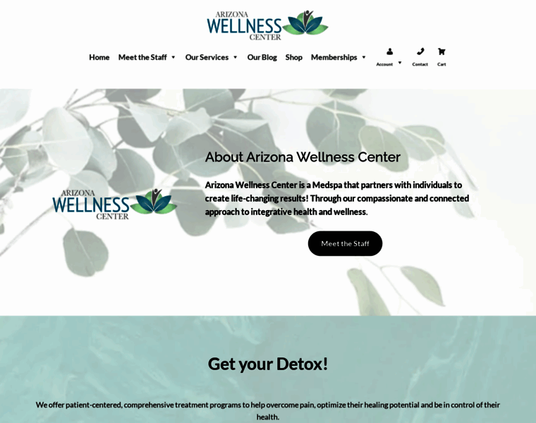 Az-wellness.com thumbnail