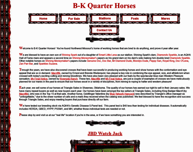 B-kquarterhorses.com thumbnail