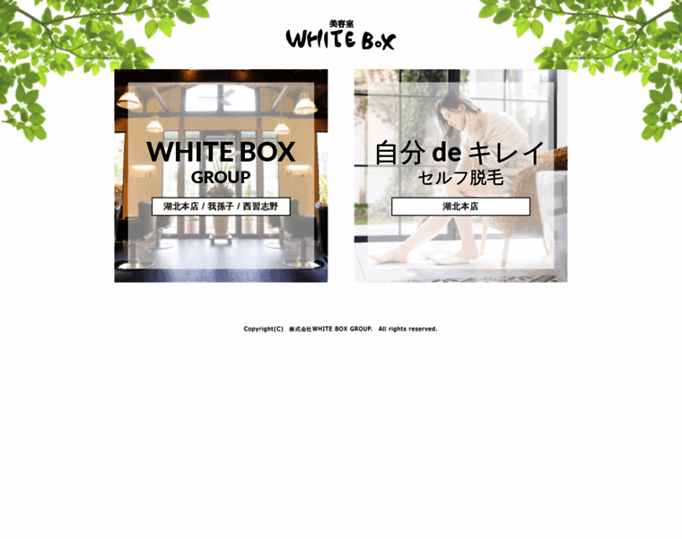 B-whitebox.com thumbnail