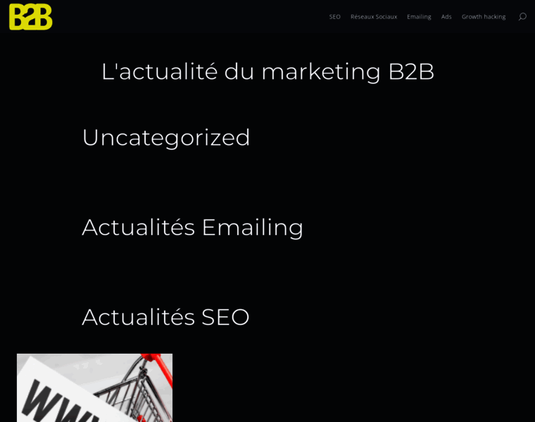 B2b-marketing.fr thumbnail