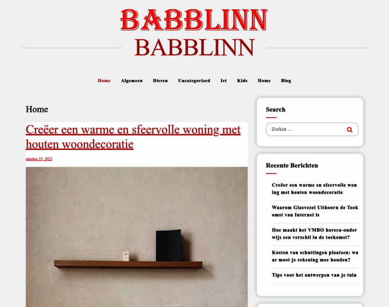 Babblinn.nl thumbnail