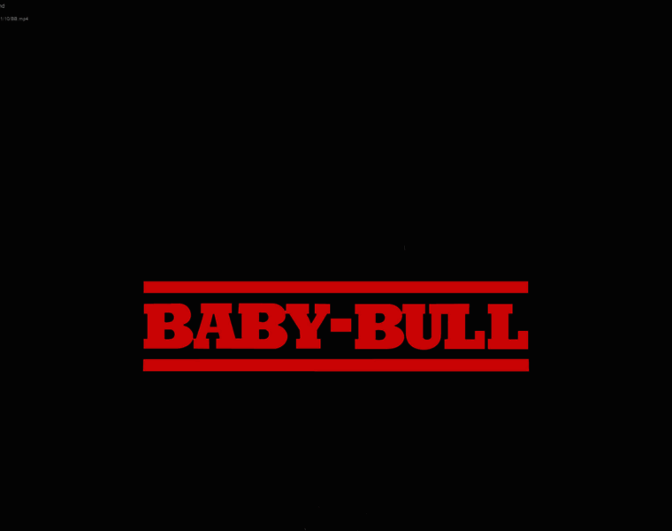 Babybullpr.com thumbnail