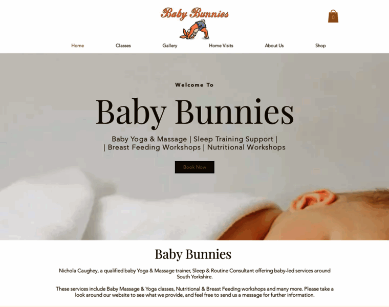 Babybunnies.co.uk thumbnail