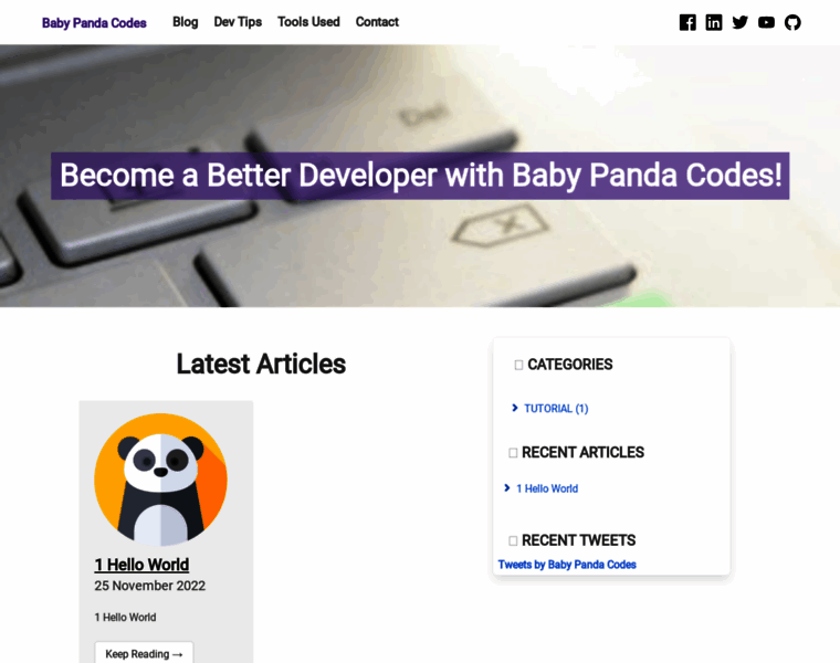 Babypandacodes.com thumbnail