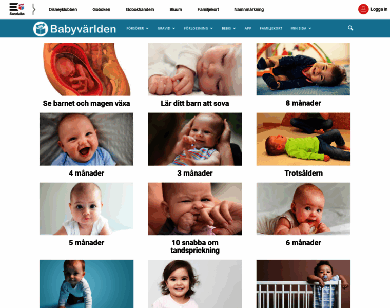 Babyvarlden.se thumbnail