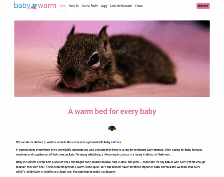 Babywarm.org thumbnail