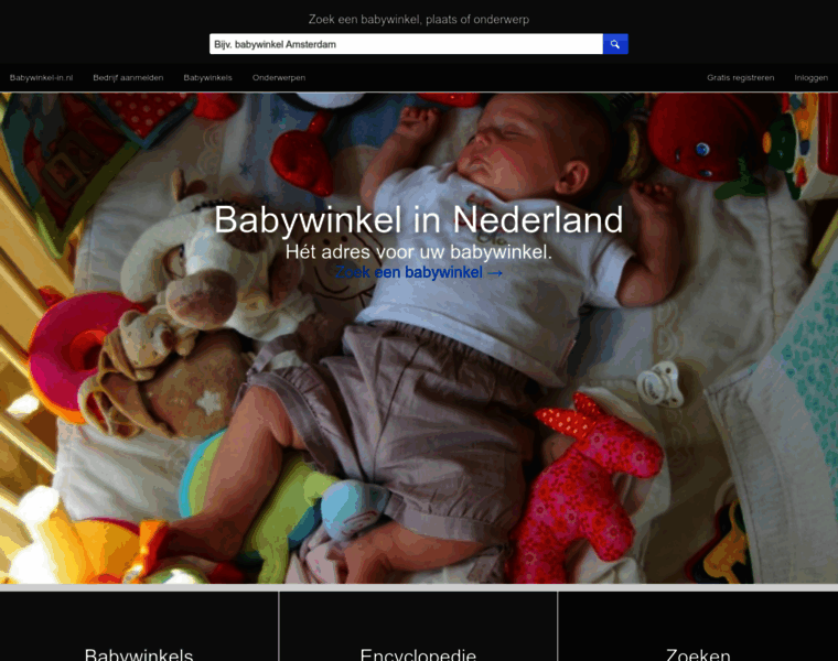 Babywinkel-in.nl thumbnail