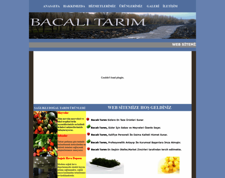 Bacalitarim.com thumbnail