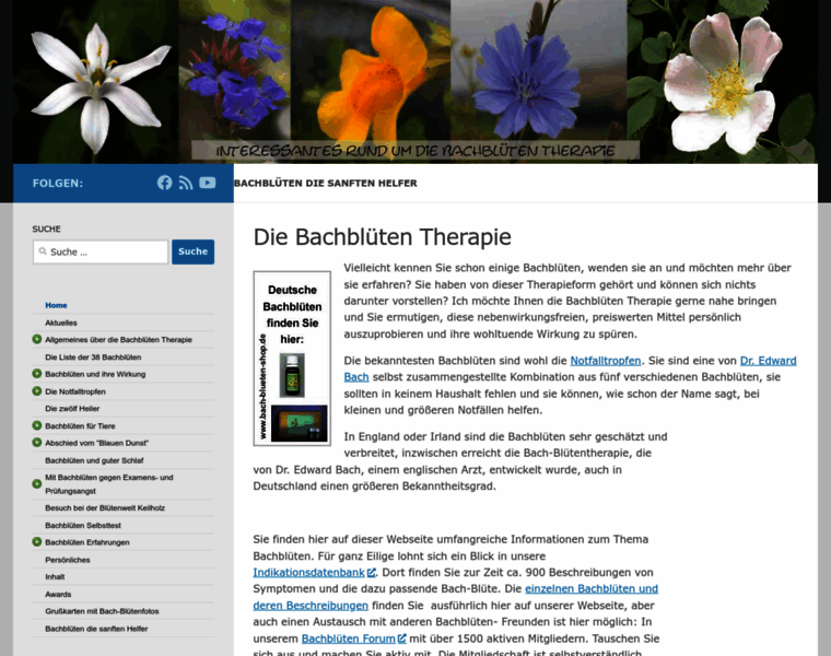 Bach-blueten-therapie.de thumbnail