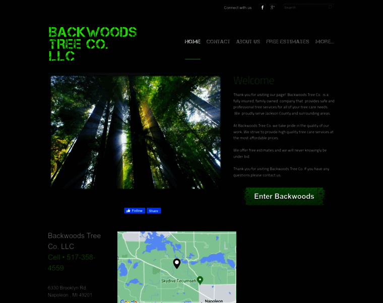 Backwoodstreeco.com thumbnail