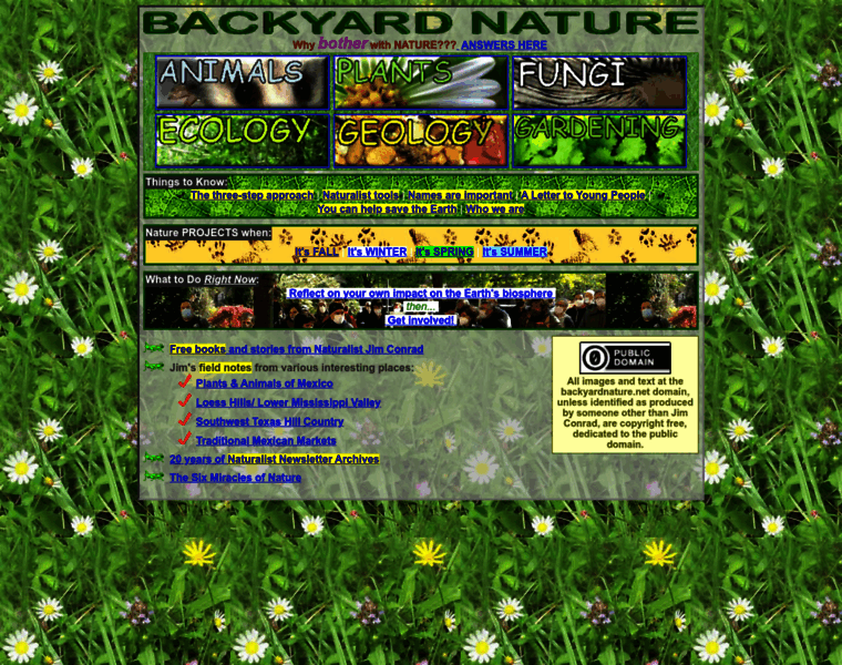 Backyardnature.net thumbnail