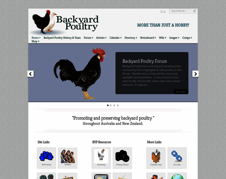Backyardpoultry.com thumbnail