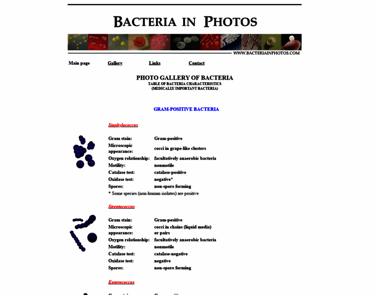 Bacteriainphotos.com thumbnail