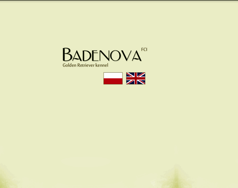 Badenova.pl thumbnail
