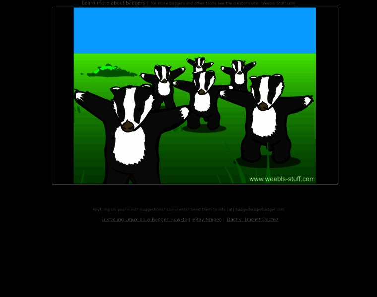 Badgerbadgerbadger.com thumbnail Badgerbadgerbadger.com thumbnail