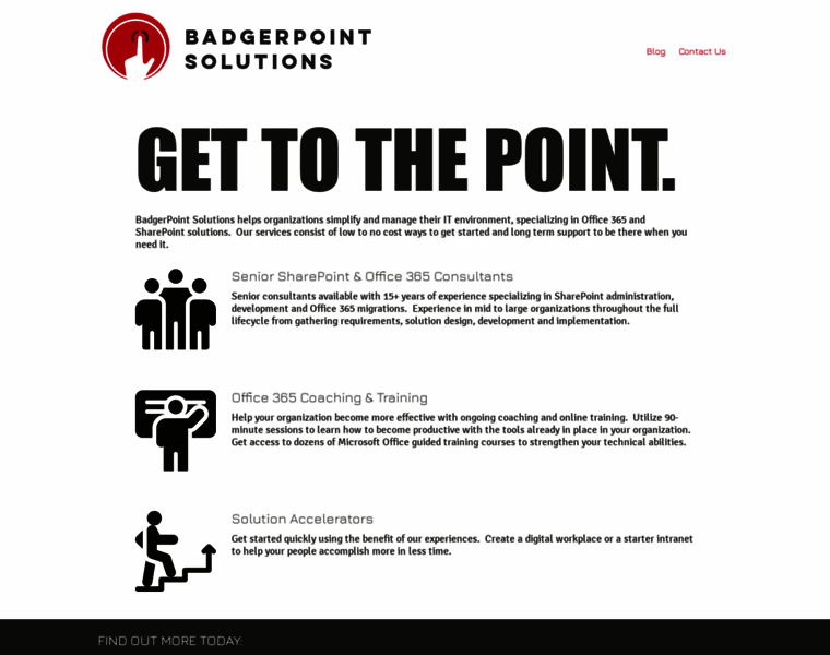 Badgerpointsolutions.com thumbnail