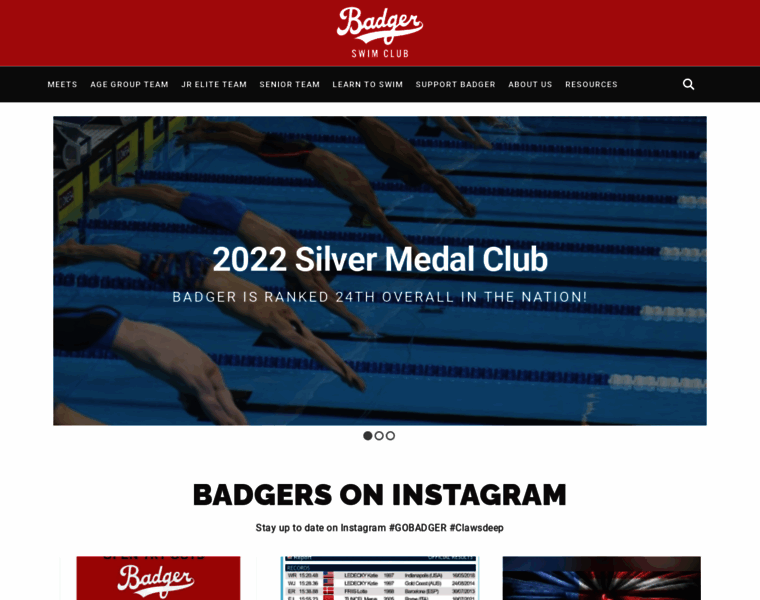 Badgerswimclub.com thumbnail
