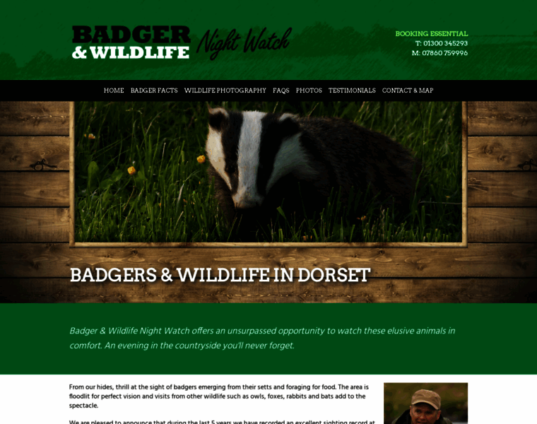 Badgerwatchdorset.co.uk thumbnail