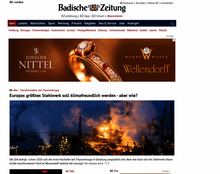 Badischezeitung.de thumbnail
