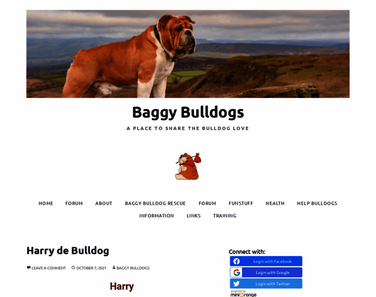 Baggybulldogs.com thumbnail