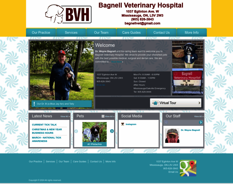 Bagnellveterinaryhospital.com thumbnail