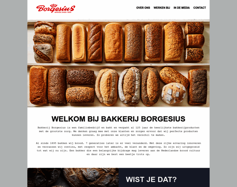 Bakkersland.nl thumbnail