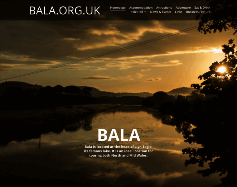 Bala.org.uk thumbnail