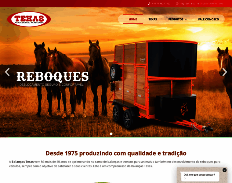 Balancastexas.com.br thumbnail