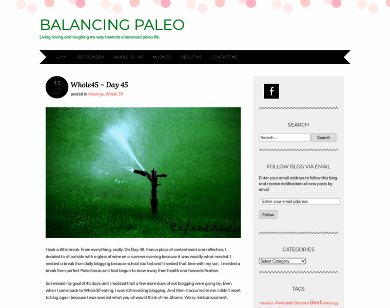 Balancingpaleo.com thumbnail