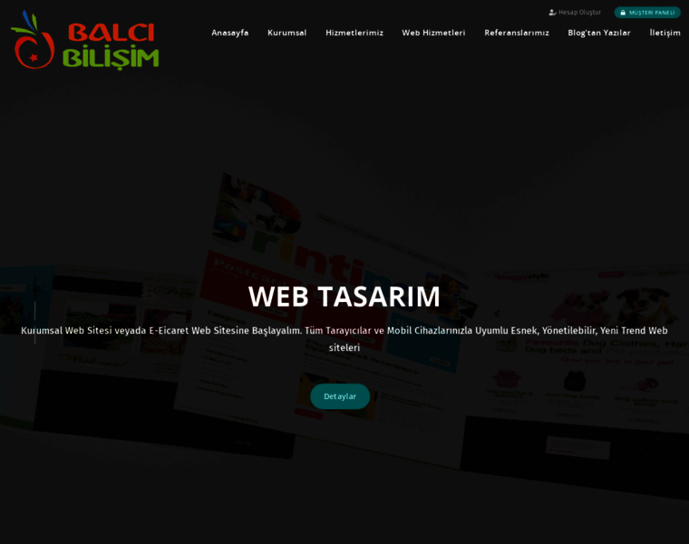 Balcibilisim.com.tr thumbnail