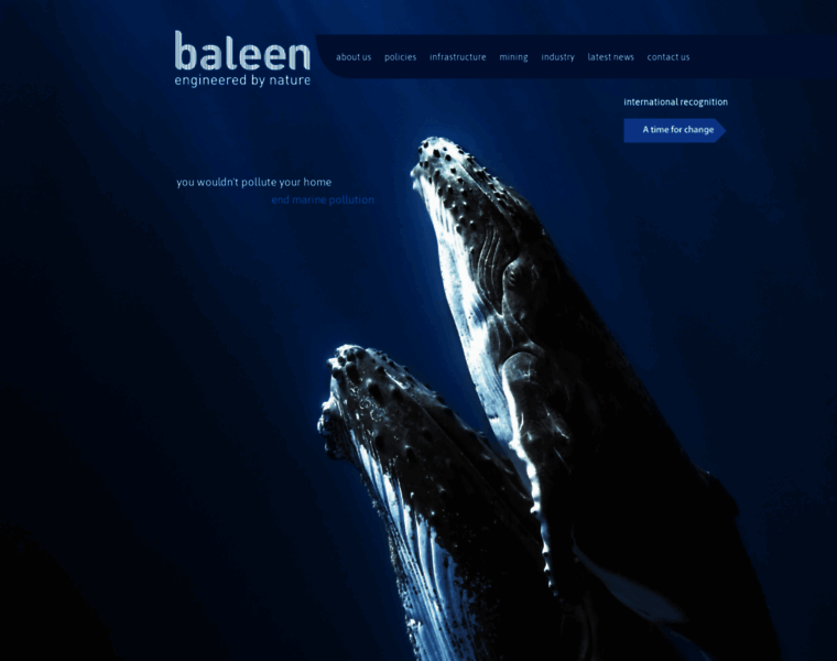 Baleen.com thumbnail