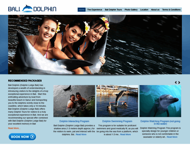 Balidolphins.bali-vacation.biz thumbnail