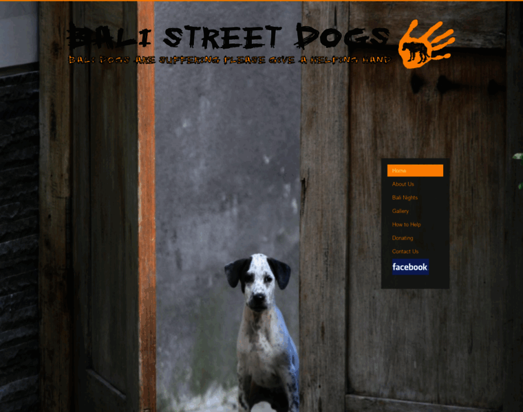 Balistreetdogs.org.au thumbnail