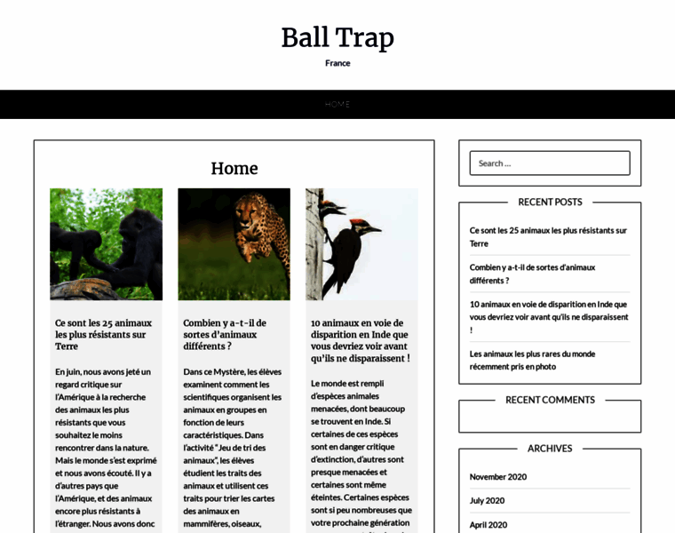Ball-trap-france.fr thumbnail