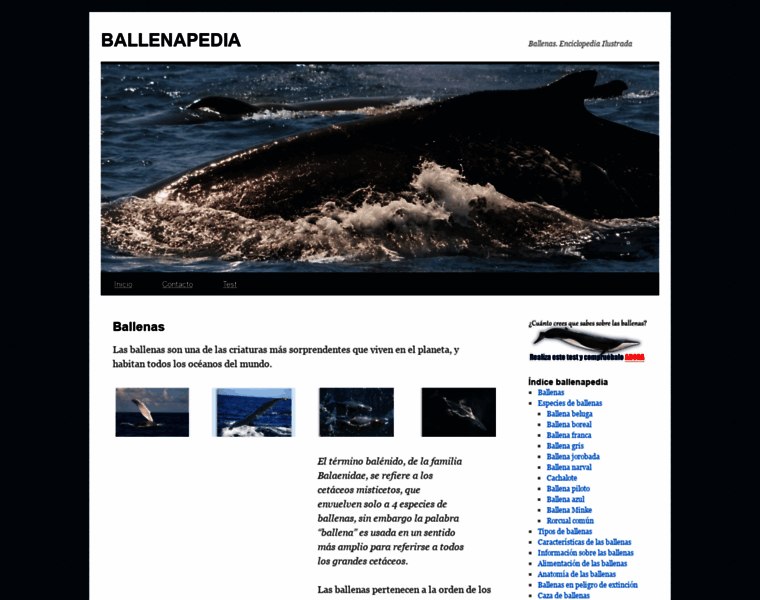 Ballenapedia.com thumbnail