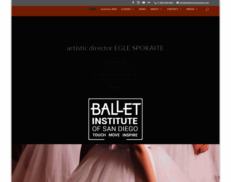 Balletinstitutesd.com thumbnail