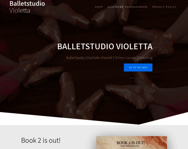 Balletstudiovioletta.nl thumbnail
