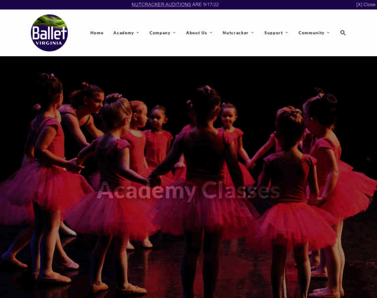 Balletvirginia.org thumbnail