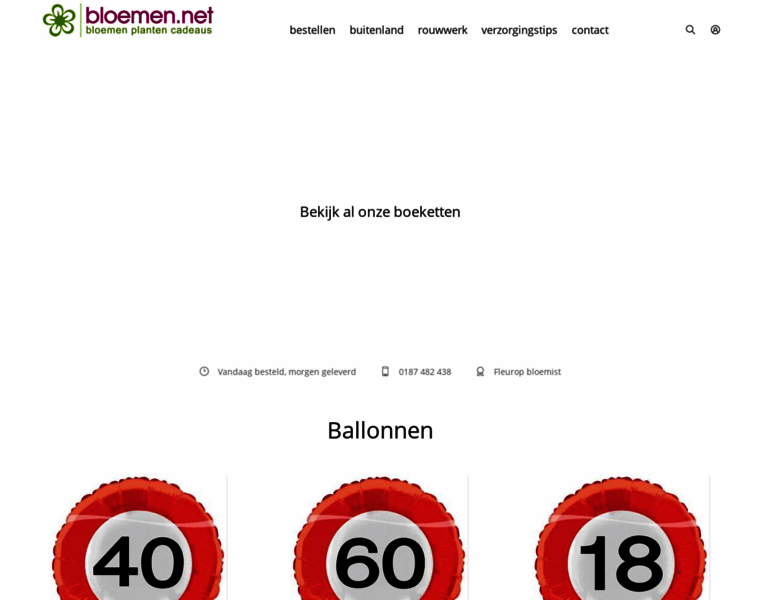 Ballonnen.net thumbnail