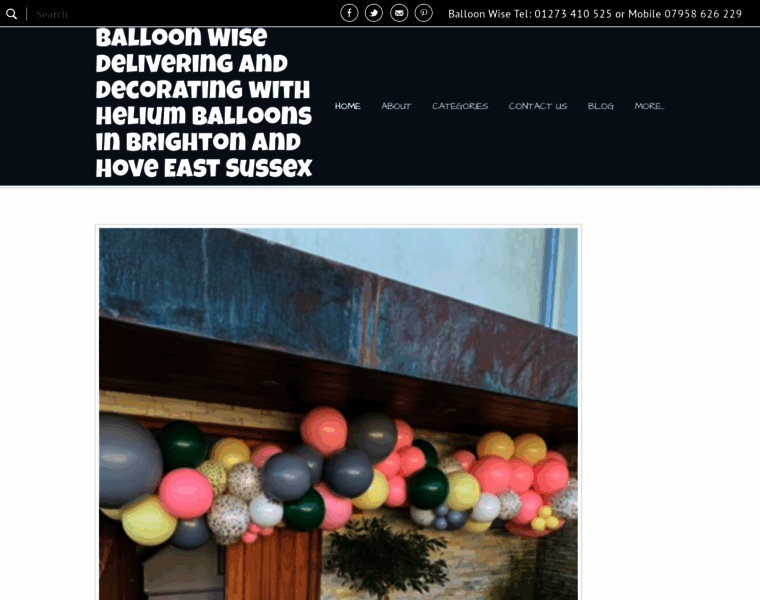 Balloonwise.co.uk thumbnail