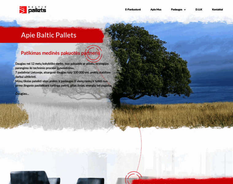 Balticpallets.lt thumbnail