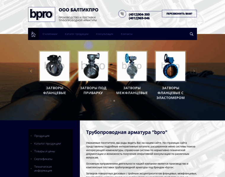 Balticpro.ru thumbnail