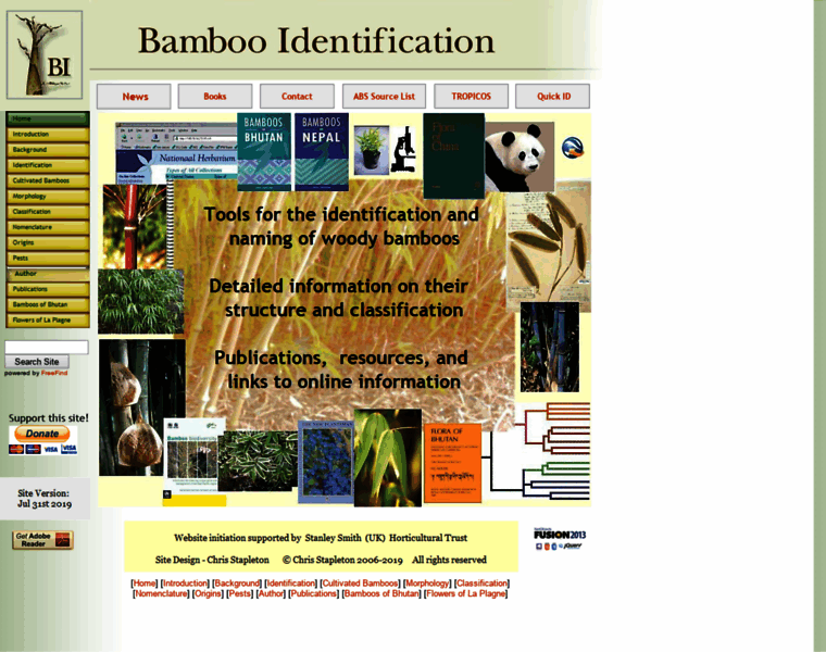 Bamboo-identification.co.uk thumbnail