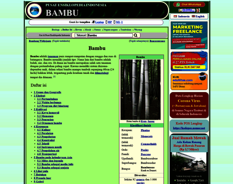 Bamboo.web.id thumbnail
