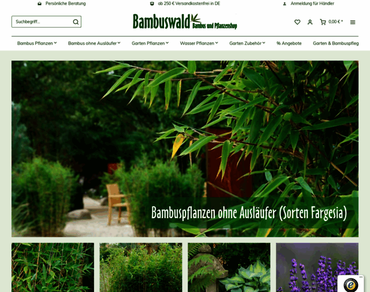 Bambuswald.de thumbnail