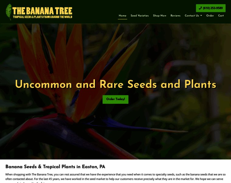Banana-tree.com thumbnail