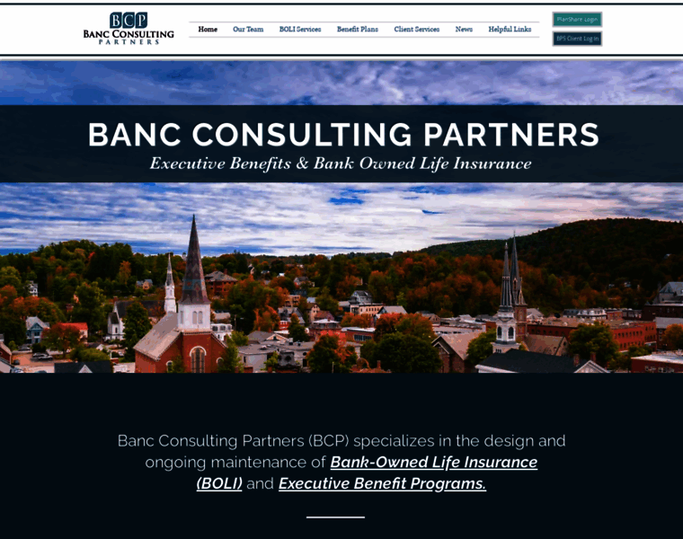 Bancconsultingpartners.com thumbnail